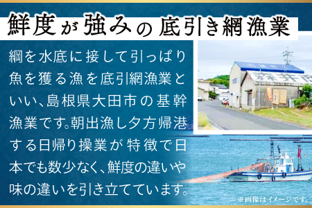 定番の干物４種詰合せセット【アジ エテカレイ ハタハタ 白いか 鯵 鰈 鰰 白イカ 島根県産 島根県沖 一夜干し 干物 ひもの 魚 魚介 日本食 和食 贈答 ギフト お取り寄せグルメ ご当地グルメ】