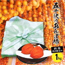 【ふるさと納税】五十沢のあんぽ柿1kg(12～15個入り)桐箱風呂敷包み F20C-245