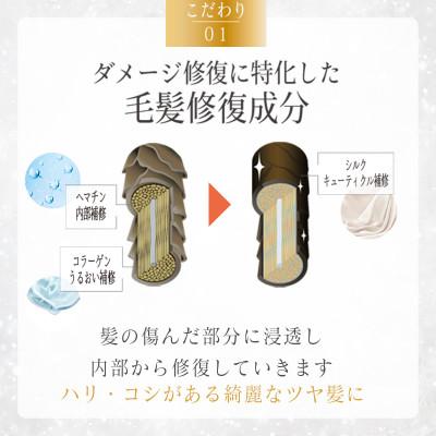 ふるさと納税 高槻市 RIN.美容液トリートメント 500ml【髪の悩み専門美容師が作った】 |  | 01