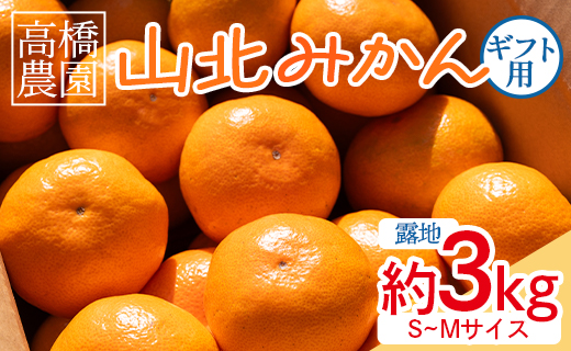 山北みかん 約3kg（露地・Ｓ～Ｍサイズ）- 果物 フルーツ 温州みかん ミカン 蜜柑 柑橘 甘い 送料無料 ギフト のし 贈り物 プレゼント 数量限定 期間限定 高橋農園 高知県 香南市 th-0017