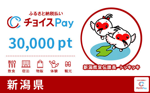 
新潟県チョイスPay 30,000pt（1pt＝1円）【会員限定のお礼の品】
