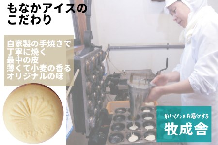 【期間限定】2022年にゃんにゃん手焼き最中アイスセット 10個 バニラ 抹茶 あん抹茶 いちご コーヒー お菓子 スイーツ ギフト モナカ 詰め合わせ (SAVE THE CAT HIDA支援)16