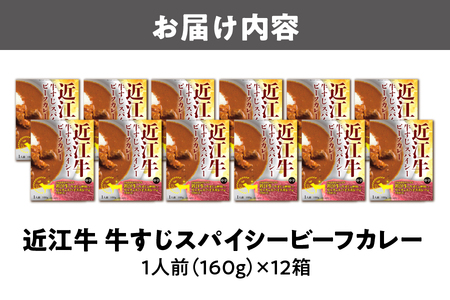 【 京阪百貨店厳選 】近江牛すじスパイスカレー160ｇ×12食セット 牛すじカレー_OS048-0064