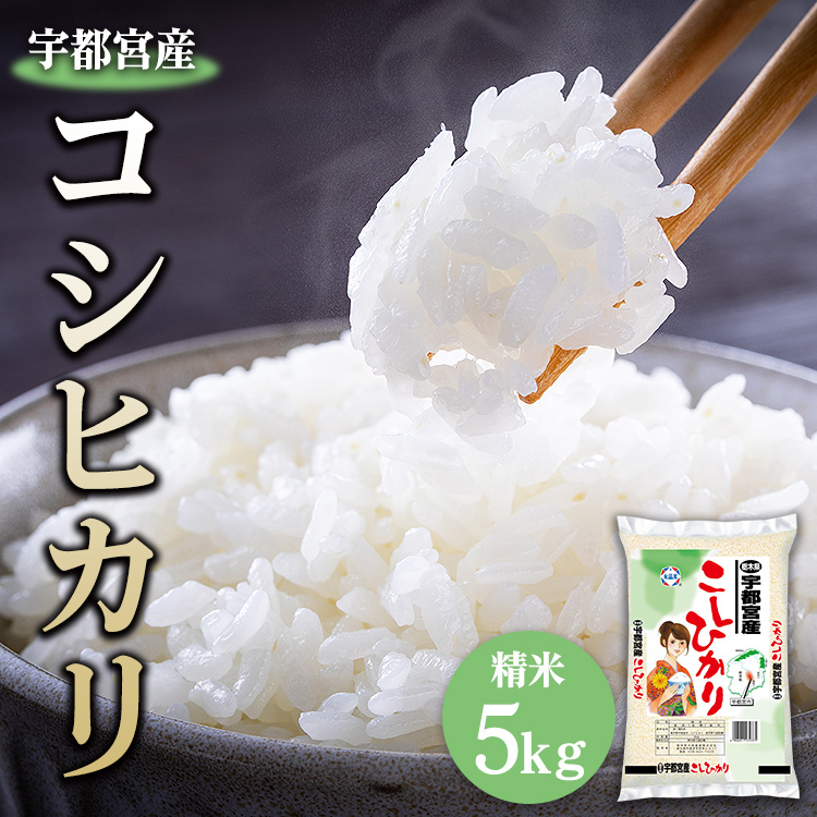 【令和6年産】宇都宮産コシヒカリ 精米 5kg　※2024年10月上旬～2025年9月中旬頃に順次発送予定