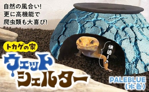 トカゲの家 ウェットシェルター 水色 爬虫類 | ペット トカゲ とかげ ペット用品 爬虫類用 シェルター 隠れ家 飼育用品 家 カビ抑制 観察 陶器 おしゃれ おうち デザイン 飼育 黒地 レオパードゲッコー レオパ フトアゴ イモリ カエル ヘビ 脱皮 作家 アーティスト ギフト 作品 手仕事 陶芸家 インテリア オブジェ 自然 ナチュラル みずいろ ブルー セキグチタカヒト 埼玉県 北本市