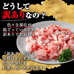 【訳あり】鹿児島県産 豚肉 霜降り トロ豚 こま切れ セット(計2.4kg・300g×8P)【KNOT】 A568-v01