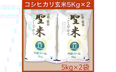 寄附額見直し（2025/12/2~） 令和7年度産 コシヒカリ 「聖米」 玄米 10kg （5kg×2）【米 お米 玄米 京都府産 ごはん こめ 国産 10キロ 京都府 京都 綾部市 】