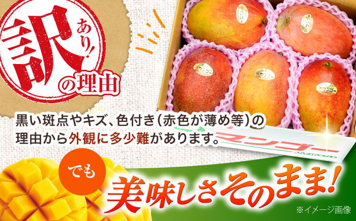 【先行予約 2026年発送 予約受付】 訳あり 完熟マンゴー 約4kg (約2kg×2箱) マンゴー 沖縄 果物 フルーツ ギフト 沖縄市 / ちゃんぷる～市場 [BCAA007]