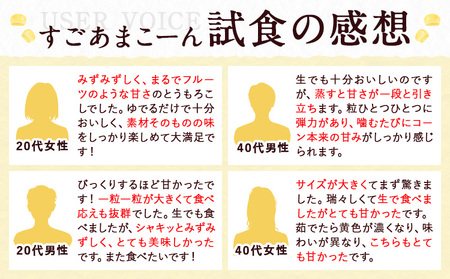 とうもろこし 5本 すごあまこーん  とうもろこし【着日指定不可】