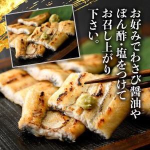 s445 《毎月数量限定》鹿児島県産 有頭白焼き2尾セット！(計約272g・約136g×2尾)山葵や醤油と一緒にお楽しみ下さい！【薩摩川内鰻】