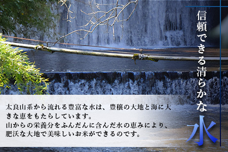 11月発送開始 新米  定期便 3ヶ月 佐賀県産 さがびより 白米 5kg《3ヶ月連続 毎月お届け》D-63 3回 令和7年産