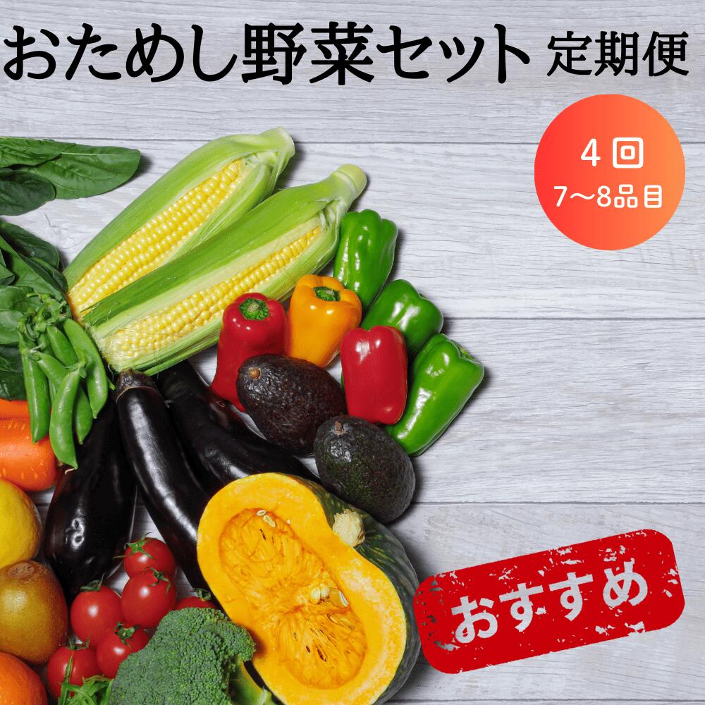 【ふるさと納税】定期便 4回 野菜 お試し 野菜セット お楽しみ 旬 新鮮 詰め合わせ 7〜8品 果物 フルーツ ギフト 直送 農家 おまかせ お取り寄せ 産直直送 産直 冬 春 サラダ 詰合せ りんご きのこ 4times