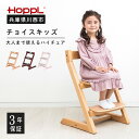 【ふるさと納税】No.173 HOPPL（ホップル） チョイスキッズ（キッズチェア） ／ 木製 木育 インテリア 家具 椅子 キッズチェア 子供 キッズ 男の子 女の子 高さ調節可能 ハイチェア かわいい おしゃれ 送料無料 兵庫県 川西市