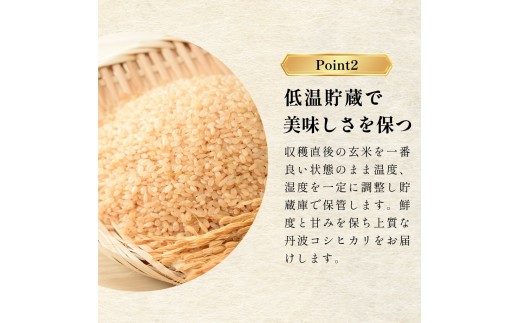 〈スピード発送〉新米 丹波産 〈低農薬 80%減〉特別栽培米 コシヒカリ 20kg（5kg×4袋）精米 丹波市 こしひかり 一等米 特A こめ 米 コメ ブランド米 兵庫県