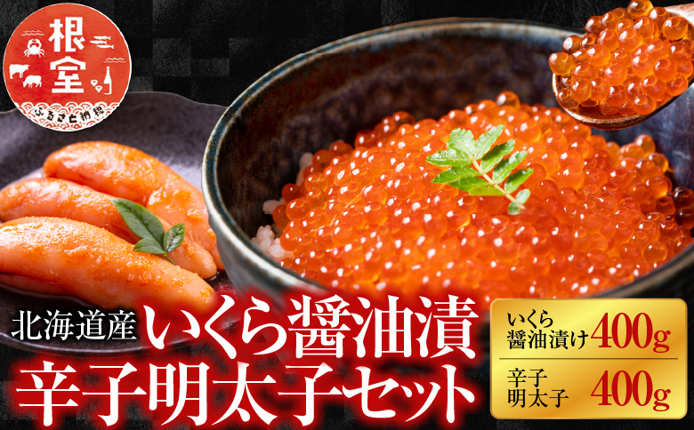 【北海道根室産】＜鮭匠ふじい＞いくら醤油漬250g・辛子明太子250g C-42069