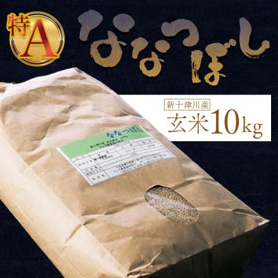 ふるさと納税 新十津川町 《先行受付》【令和7年度産】ななつぼし玄米 食味ランキング「特A」(10kg)【1101005】