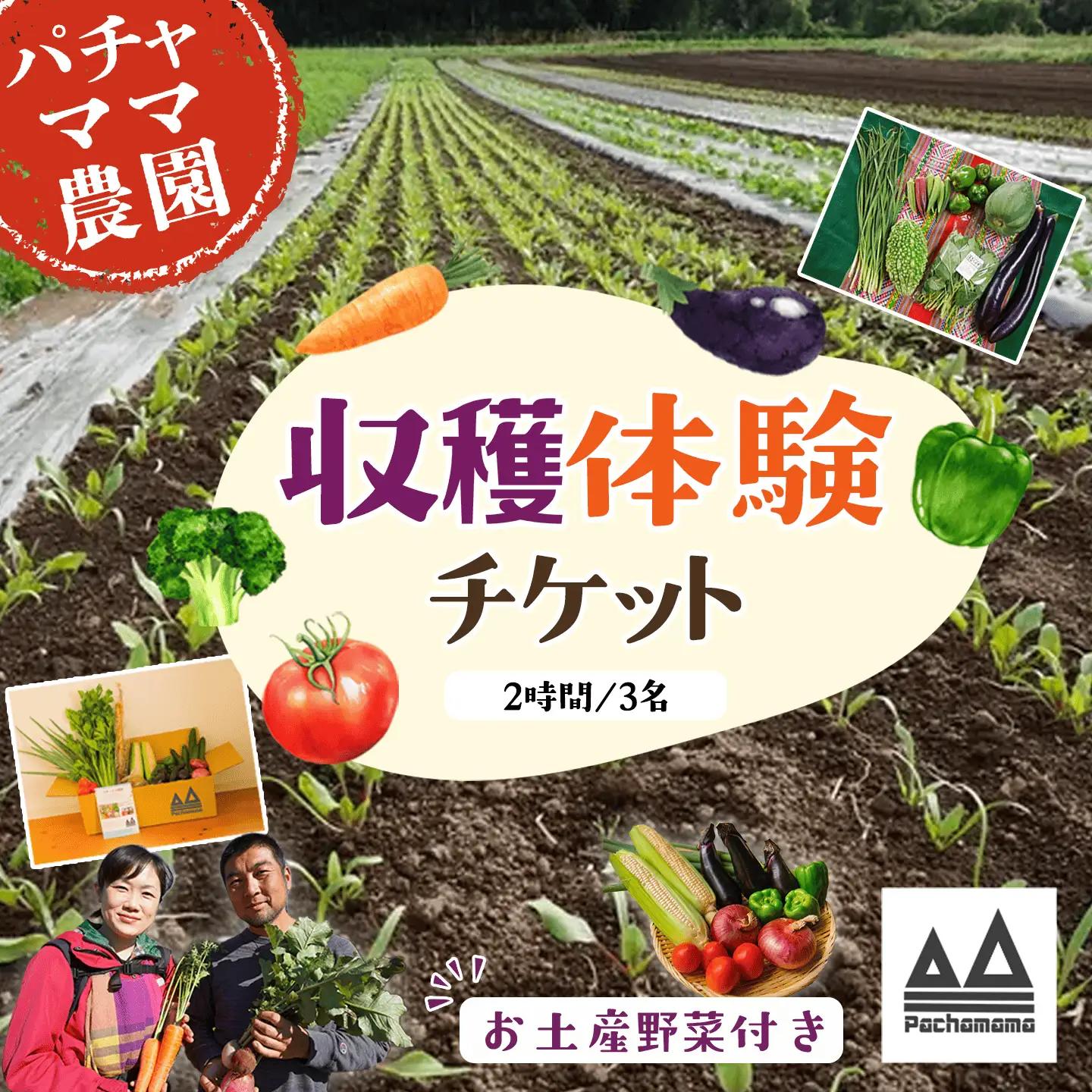 収穫体験 チケット 3名 収穫体験