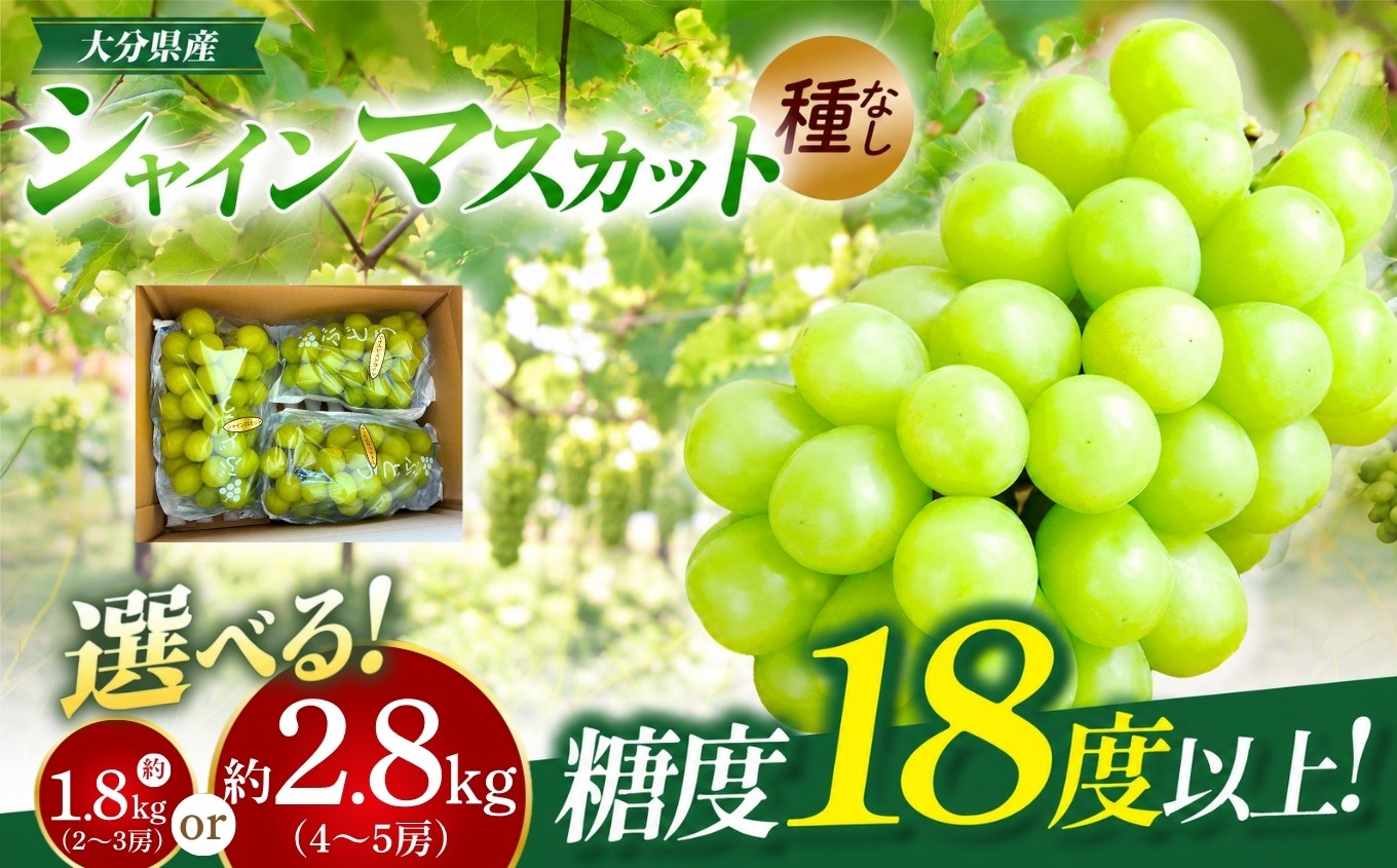 
                  シャインマスカット 選べる 内容量 約1.8kg ( 2～3房 ) / 約2.8kg ( 4～5房) | フルーツ 果物 くだもの ぶどう ブドウ 葡萄 シャイン マスカット 種なし 種無し 産地直送 大分県 中津市
                