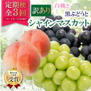 【ふるさと納税】【発送月固定定期便】【訳アリ】山梨の桃と黒ぶどう・シャインマスカット全3回【配送不可地域：離島・沖縄県】【4063714】