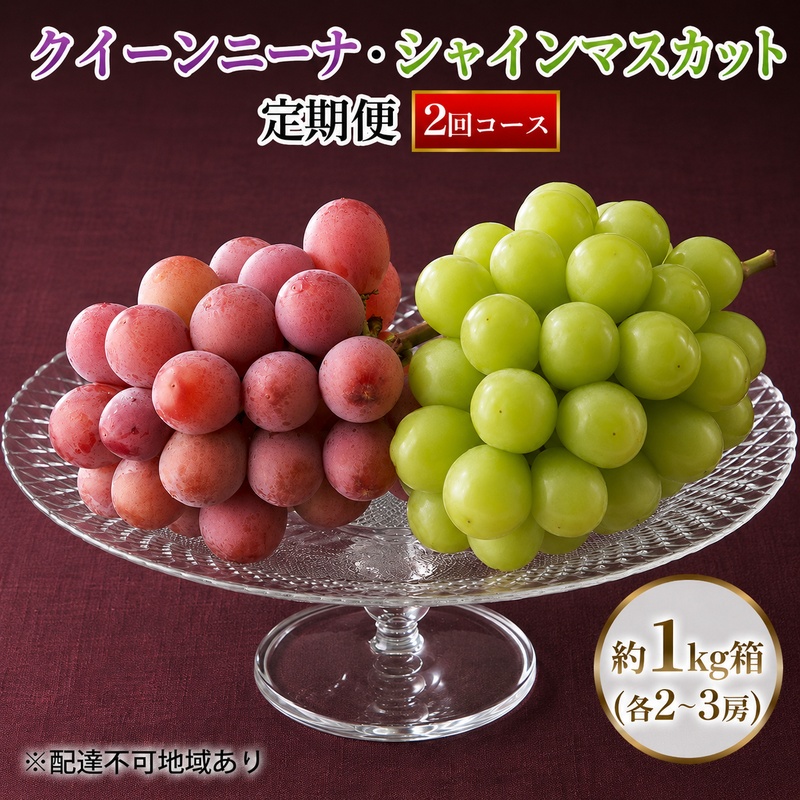 【定期便】【2026年先行予約】 ぶどう 岡山県産 クイーンニーナ ・ シャインマスカット 1kg箱（各2～3房） 定期便 2回 《2026年9月上旬-10月下旬頃出荷》 葡萄 ブドウ 岡山県産 フルーツ 果物 数量限定