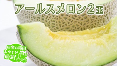アールスメロン 2個 フルーツ 果物