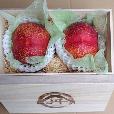 【周りに差をつける贈り物】最高糖度25度の比類なき絶対糖度シャトーネクタリン2026年6月下旬発送【配送不可地域：離島・北海道・沖縄県・中国・四国・九州】