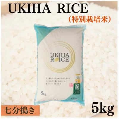 ふるさと納税 うきは市 UKIHA RICE 7分搗き5kg(特別栽培米)063-0068