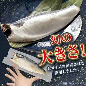国産 塩さば フィーレ 約160～200g 5枚 サバフィレ 鯖 サバ さば フィレ 切り身 塩サバ 特大 バラ凍結 冷凍 魚 魚介
