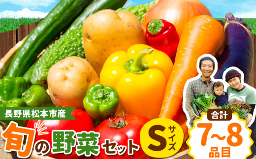 子育て農家の野菜セット（Sサイズ）農薬・化学肥料不使用 | 無農薬 野菜 やさい 長野県 松本市 信州産 ふるさと納税