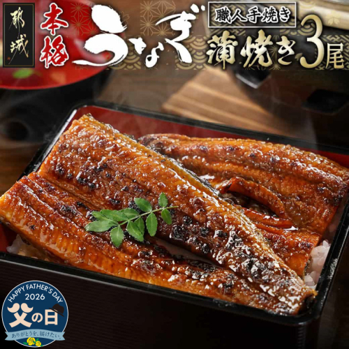 【父の日】職人手焼きの本格うなぎ蒲焼き3尾≪6月18日～21日お届け≫_AC-33-003-3-FG