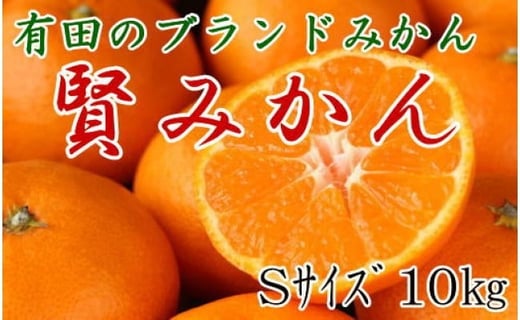 
            [秀品]有田のブランド「賢みかん」10kg(Sサイズ)【2025年11月中旬頃より順次発送】
          