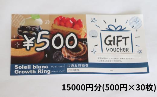 BV-5 店舗利用券15000円分