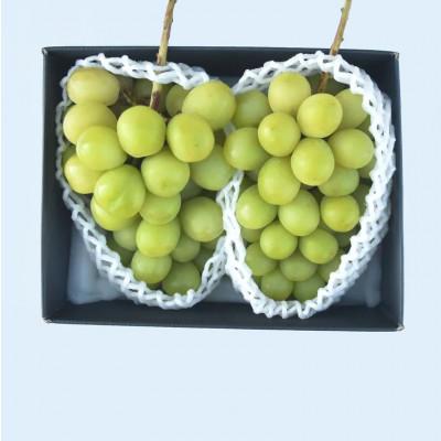 ふるさと納税 山梨市 【発送月固定定期便】山梨市産　旬のフルーツ定期便全4回 |  | 01