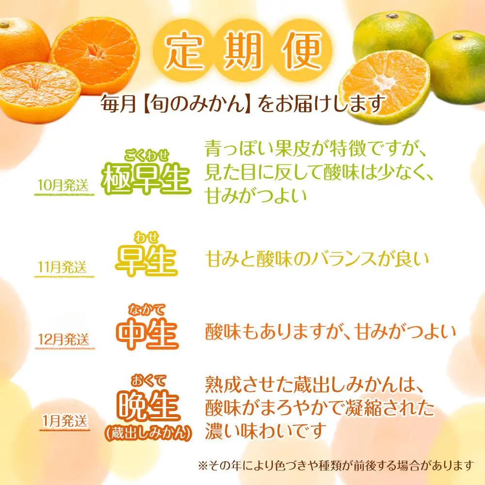 ［定期便］森本農園の手選別 訳あり柑橘定期便 約10kg サイズ混合 和歌山県産 ［北海道・沖縄・離島配送不可］［2026年10月～2027年5月まで全8回お届け］ ［RN171］