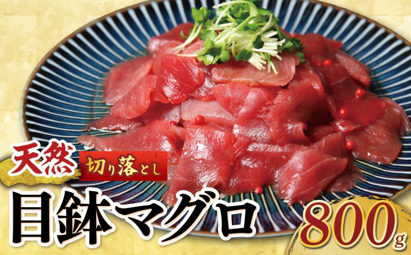 天然 メバチマグロ 切り落とし 800g 100g×8パック めばちまぐろ まぐろ マグロ 鮪 中トロ 天然 天然まぐろ 天然マグロ 刺身 お刺身 食べ比べ 海鮮丼 丼 魚 さかな 新鮮 高知 室戸 冷凍 小分け 海鮮