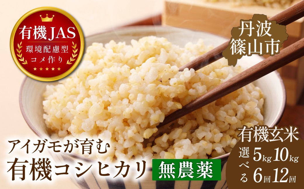 
                  〈定期便 令和８年産早期予約〉5kg・10kg × 6回・12回 有機JAS認証 アイガモが育む コシヒカリ 玄米 ｜兵庫県 丹波篠山市産 げんまい 白米 米 コメ こめ こしひかり 有機栽培 農家直送
                
