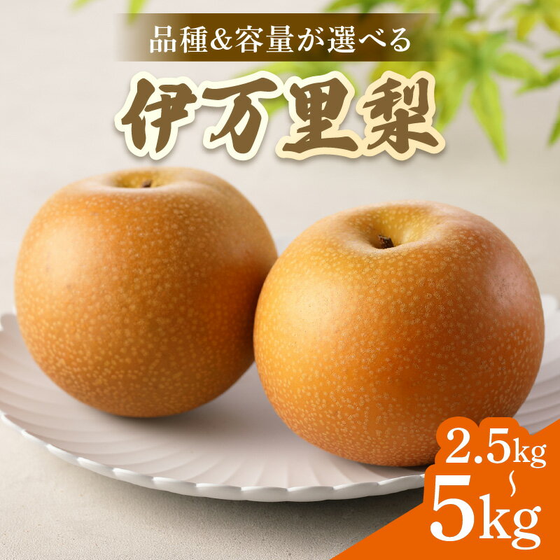 【ふるさと納税】【2026年産先行予約】伊万里梨 ＜品種・容量が選べる／幸水 ・豊水・あきづき・新高・王秋・甘太・愛宕 ＞（ 2.5kg・5kg ）【 ふるさと納税 先行予約 梨 伊万里梨 幸水 ふるさと納税 果物 フルーツ なし 】