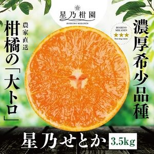 星乃みかん園の星乃せとか(3.5kg)【E45-43】_美味しいみかん 美味しいミカン おいしいみかん おいしいミカン 人気のみかん 人気のミカン 国産みかん 国産ミカン 八幡浜みかん 八幡浜ミカン 甘いみかん 甘いミカン あまいみかん アマイミカン 果物みかん くだものみかん 果物ミカン クダモノミカン 美味しいせとか 美味しいセトカ おいしいせとか おいしいセトカ 人気のせとか 人気のセトカ 国産せとか 国産セトカ 八幡浜せとか 八幡浜セトカ 甘いせとか 甘いセトカ あまいせとか アマイセトカ 果物せと