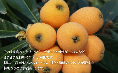 【先行予約/数量限定】 びわ 兵庫県産 1kg 小分け 500g 2パック