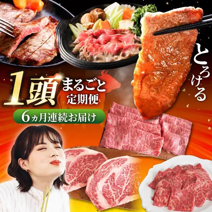 【6回定期便】牛肉1頭まるごと定期便 / 牛肉定期便 IAH032