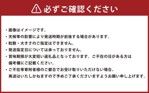 博多あまおう（春） 約250g～270g×4パック 計約1kg～1.08kg【2027年2月上旬-4月下旬発送予定】いちご 苺 イチゴ 果物 フルーツ