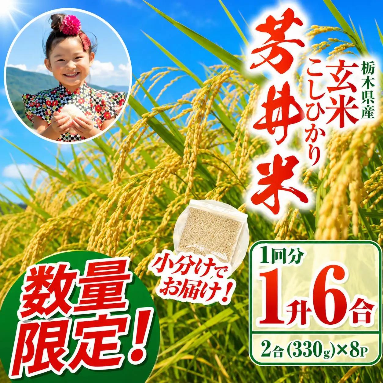 【ふるなび限定】【数量限定】【令和8年度産】那珂川町産芳井米 玄米 330g（2合分）×8 | こしひかり 米 ごはん  ふっくら もちもち  ふるさと納税 那珂川町 栃木県