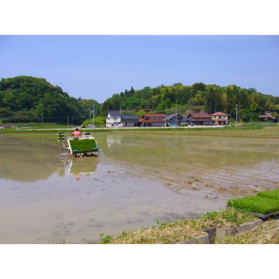 ふるさと納税 浜田市 【毎月定期便】きぬむすめ5kg(6回)合計30kg全6回 |  | 01