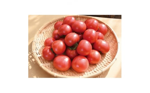 栗田温室農園の王様トマト(4kg箱×2)農林水産大臣賞受賞!【1376949】