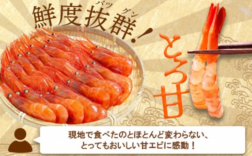 超速リキッド凍結でドリップゼロ！北海道羽幌産生鮮甘えび 400g