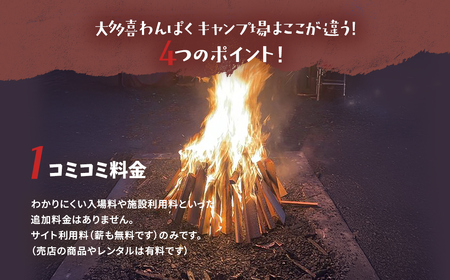大多喜わんぱくキャンプ場1000円分利用券 W004504