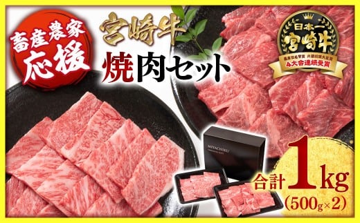 【10月発送】【畜産農家応援】宮崎牛 赤身＆肩ロース 食べ比べ焼肉セット１kg  （500g ×2）4等級以上 ミヤチク 内閣総理大臣賞4連覇 ＜1.7-40＞牛肉 赤身 焼肉【10月より寄附金額見直し】