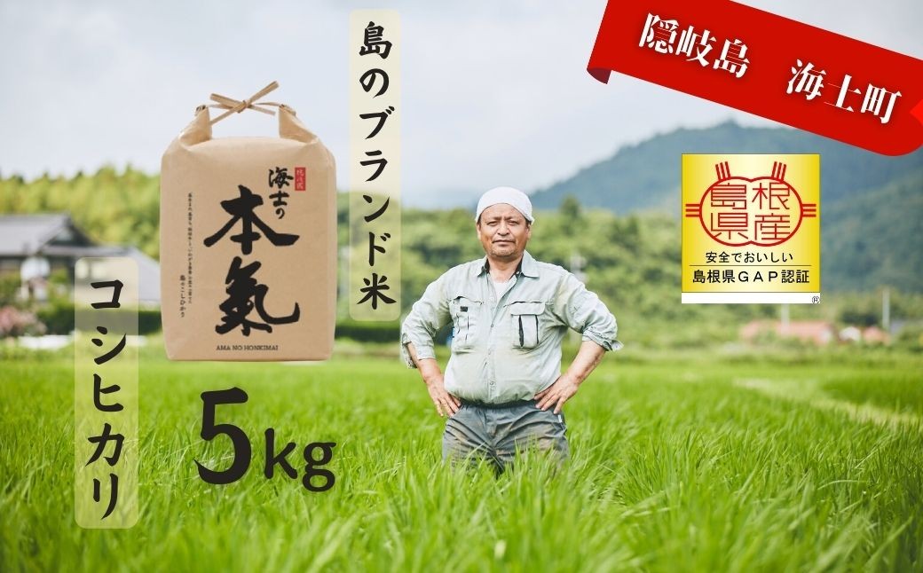 
                  【令和7年度産 本氣米5kg：コシヒカリ】甘くてもっちり島のブランド米 本氣米 お米 新米 精米 白米 ごはん ご飯  海士町 島根県 こしひかり お米  おこめ 国産 コメ ライス
                