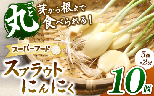 無農薬水耕栽培 スプラウトにんにく 2袋10個セット（1袋5個入り）｜ふるさと納税 長野県 松本市 農薬不使用 水耕 野菜 サラダ にんにく セット 安全 安心 美味しい