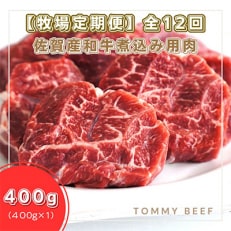 【毎月定期便】佐賀産和牛 煮込み肉用 400g 全12回